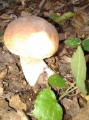 20180927_101507.jpg