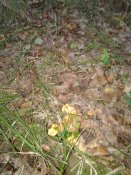 20180927_081207.jpg