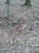 20180927_110600.jpg