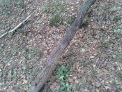 20180927_105720.jpg