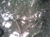 s3480621.jpg