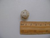 DSC02453.JPG