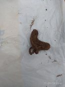 IMG_20180927_154113.jpg