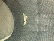 IMG_20180928_172312.jpg