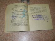 P1010071.JPG