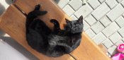 20180929_095357.jpg
