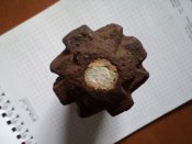 ф-1 французского типа на ПМВ + бонус