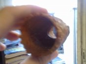 телефон 209.jpg