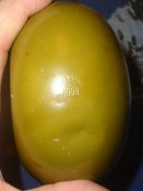 569.jpg