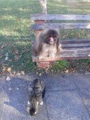20180928_164239.jpg