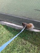 20180929_160606.jpg
