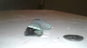 IMG-20180925-WA0006.jpg