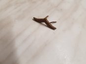 20180929_180628.jpg