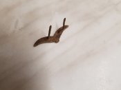 20180929_180620.jpg