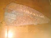 IMG_20180929_191611.jpg
