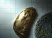 IMG_20170929_011020.jpg