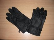 DSCN7672.jpg