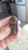 IMG_2018-10-01_123611.jpg