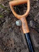 IMG_20180923_153013.jpg