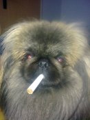 12032011594.jpg