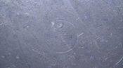 DSC03495.JPG
