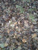 20181003_080731.jpg