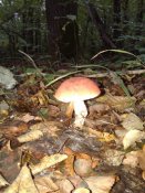20181003_081555.jpg