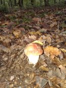 20181003_083319.jpg