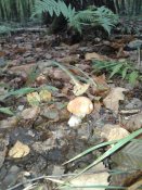20181003_085104.jpg