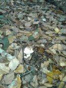 20181003_093248.jpg