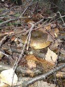 20181003_092545.jpg