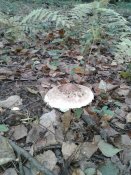 20181003_105817.jpg