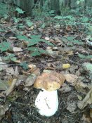 20181003_103343.jpg