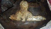 20181003_215723.jpg