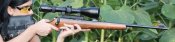 CZ 455 22 LR