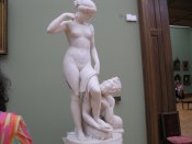 IMG_5398.jpg