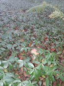20181004_092354.jpg