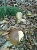 20181004_091538.jpg