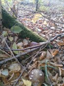 20181004_083250.jpg