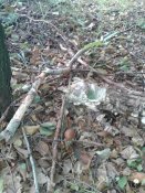 20181004_082654.jpg