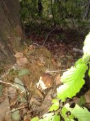 20181004_080814.jpg