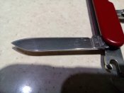 IMG_20181004_185947.jpg