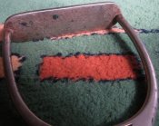 IMG_1237.JPG