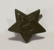 Звёздочка на пилотку