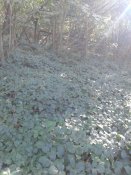 20181005_104743.jpg