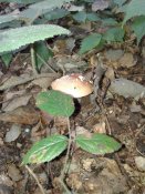 20181005_101139.jpg