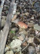 20181005_102136.jpg