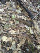 20181005_102302.jpg