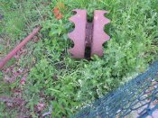 DSCN4888.jpg