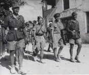 Kreta_Shorts-2.jpg